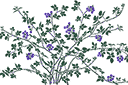 Schablonen für Blumen zeichnen - Brombeerbusch
