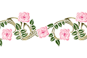 Schablonen für Rosen zeichnen - Bordürenmotiv aus Rosen 50