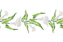 Schablonen für Blumen zeichnen - Große Drachenwurz B