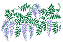 Schablonen für Gartenpflanzen zeichnen - Bordürenmotiv aus Glyzinie