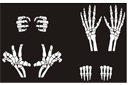 Furcht erregende Schablonen  - Oberarme des menschlichen Skeletts