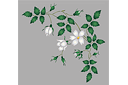 Schablonen für Rosen zeichnen - Weiße Hagebutte - Eckmuster