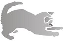 Tiere zeichnen Schablonen - Graues Kätzchen