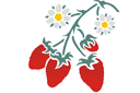 Schablonen für Gartenpflanzen zeichnen - Erdbeere