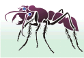 Schablonen mit Insekten Motive - Ameise Große