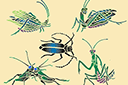 Schablonen für Schmetterlinge zeichnen - Fünf Insekten