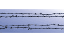 Furcht erregende Schablonen  - Stacheldraht 3