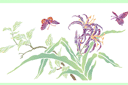 Schablonen für Blumen zeichnen - Lilien und Schmetterlinge