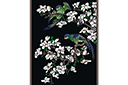 Schablonen für Blumen zeichnen - Papageien auf Magnolia