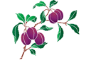 Schablonen für die Frucht Malen - Zweig eines Pflaumenbaum