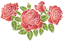 Schablonen für Rosen zeichnen - Roten Rosen 2
