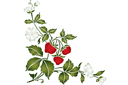 Schablonen für Gartenpflanzen zeichnen - Ecke aus Erdbeere