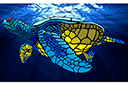 Tiere zeichnen Schablonen - Grüne Meeresschildkröte