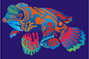 Tiere zeichnen Schablonen - Mandarinfische
