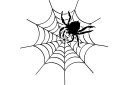 Schablonen mit Insekten Motive - Große Spinne auf einem Netz