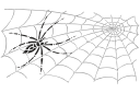 Schablonen mit Insekten Motive - Eine dünne Spinne und ein Netz