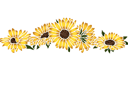 Schablonen für die Bordüren mit Pflanzen - Große Sonnenblumen
