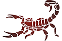 Tiere zeichnen Schablonen - Skorpion