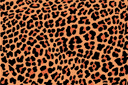 Schablonen für die Wand - Leopardenhaut