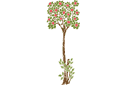 Schablonen für Bäume zeichnen - Apfelbaum