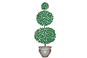Schablonen für Bäume zeichnen - Lorbeerbaum 1