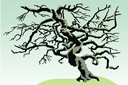 Schablonen für Bäume zeichnen - Altenr Baum
