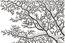 Schablonen für Bäume zeichnen - Äste unter dem Schnee
