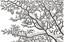 Schablonen auf das Thema der Winter - Äste unter dem Schnee