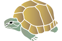 Tiere zeichnen Schablonen - Schildkröte 03