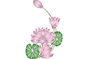 Schablonen für Blumen zeichnen - Vier Lilien