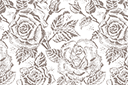 Schablonen für Rosen zeichnen - Große Röschen 79c