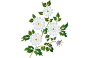 Schablonen für Blumen zeichnen - Blumenstrauß der Kamille im Folk-Style