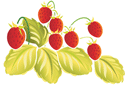 Schablonen für Gartenpflanzen zeichnen - Erdbeere von Zhostovo 2