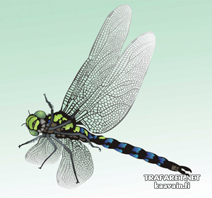 Flugfähige Libelle (Schablonen für Schmetterlinge zeichnen)