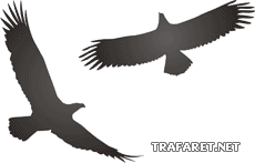 Zwei Adler (Schablonen für Silhouetten zeichnen)