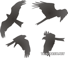 Vier Falken - Schablone für die Dekoration