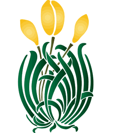 Gelbe Tulpen - Schablone für die Dekoration