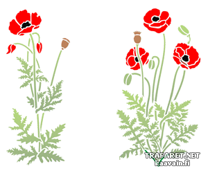 Paar frische Mohn  (Schablonen für Blumen zeichnen)