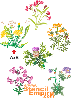 Wildblumen 1 - Schablone für die Dekoration