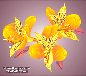 Alstroemeria - Schablone für die Dekoration