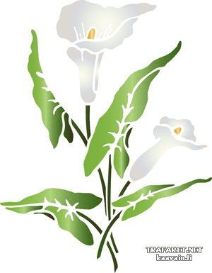 Große Drachenwurz A (Schablonen für Blumen zeichnen)