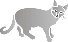 Graue Katze 2 - Schablone für die Dekoration