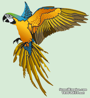 Ara-Papagei - Schablone für die Dekoration