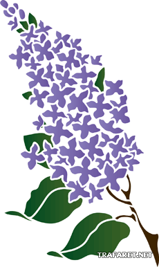 Zweig eines Fliederbusch - Schablone für die Dekoration