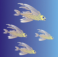 Atlantischer Flugfisch - Schablone für die Dekoration