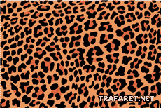 Leopardenhaut - Schablone für die Dekoration