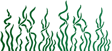 Seegras - Schablone für die Dekoration