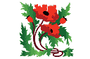 Blühenden Mohnblumen - schablonen für blumen zeichnen Blühenden Mohnblumen - schablonen für blumen zeichnen