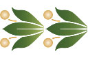 Bordüre im klassizistischen Stil II - schablonen für die bordüren mit pflanzen