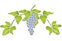 Weintraube und Weinblatts 57 - schablonen für die frucht malen